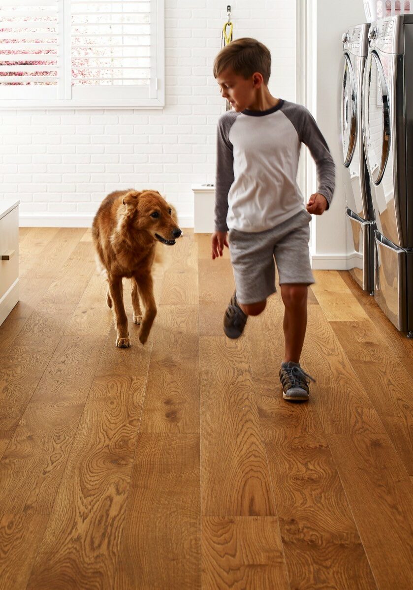 Pet friendly floor | Floor to Ceiling Virginia